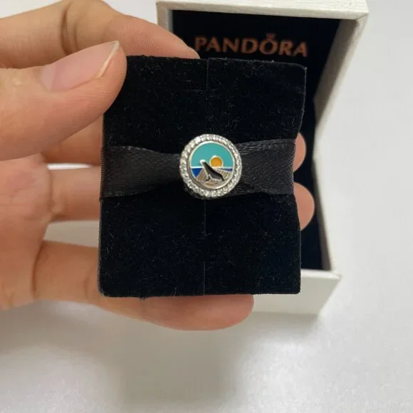 Pandora San Diego Seal Exclusive charm - Picture 1 of 5